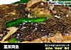 韭菜烧鱼的做法