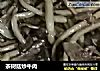 茶树菇炒牛肉的做法