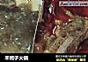 羊蝎子火锅的做法
