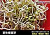 家生绿豆芽的做法