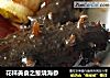 花样美食之葱烧海参的做法