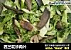 西兰花炒肉片的做法