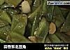 蒜香东北豆角的做法