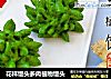 花样馒头多肉植物馒头的做法