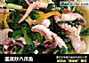 韭菜炒八爪鱼的做法