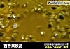 百香果饮品的做法