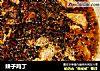 辣子鸡丁的做法