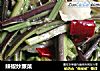 辣椒炒蕨菜的做法