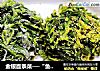 金银面条菜──“鱼儿厨房”私房菜的做法