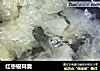 红枣银耳羹的做法