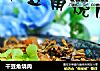 干豆角烧肉的做法