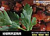 秘制鹌鹑蛋烧肉的做法