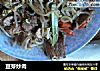 豆芽炒肉的做法
