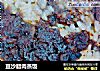 豆沙腊肉蒸饭的做法