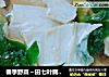 春季野菜～田七叶腐竹汤的做法