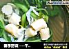 春季野菜----干贝茼蒿汤的做法