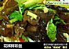 花样拌彩丝的做法