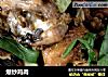 爆炒鸡肉的做法