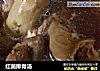 红菌排骨汤的做法