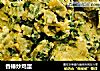 香椿炒鸡蛋的做法