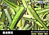 春食蕨菜的做法