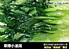 翠绿小油菜的做法
