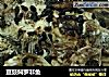 豆豉焖罗非鱼的做法