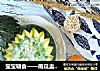宝宝辅食——南瓜盅炖磷虾粥！的做法