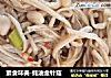 素食味美-蚝油金针菇的做法