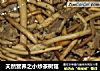 天然营养之小炒茶树菇的做法