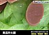 黄瓜炒火腿的做法