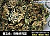 春之食：香椿炒鸡蛋的做法