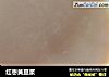 红枣黄豆浆的做法