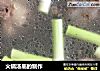 火锅汤底的制作的做法