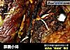 酥脆小排的做法