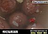 枸杞马蹄汤圆的做法