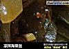 凉拌海带丝的做法