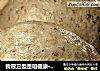 我很丑但是咱健康·杂粮馒头的做法