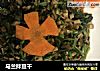 马兰拌豆干的做法