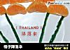 橘子降落伞的做法