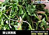 蒲公英蘸酱的做法