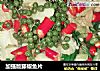 加强版藤椒鱼片的做法