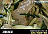 凉拌海蜇的做法