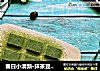 春日小清新·抹茶豆腐布丁（快手小甜品）的做法
