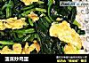 菠菜炒鸡蛋的做法