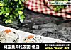 咸蛋黄肉松饭团-便当的做法