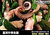 韭菜炒章鱼腿的做法