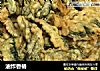 油炸香椿的做法