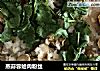 蒸蒜蓉蛤肉粉丝的做法