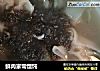 鲜肉家常馄饨的做法